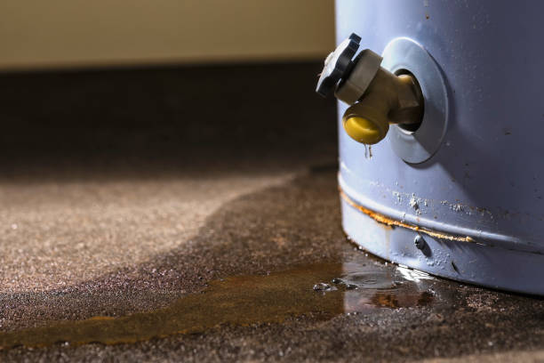 Local water damage restoration in Muniz, TX