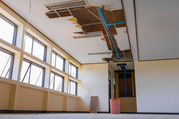  Muniz, TX Water damage restoration Pros
