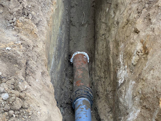 Best Basement water damage restoration  in Muniz, TX