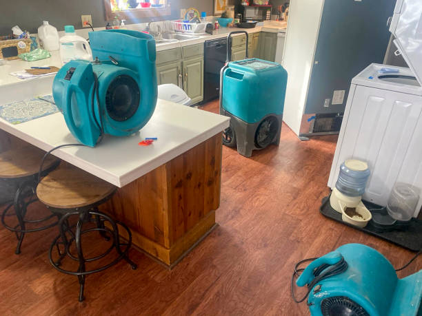 Best Commercial water damage restoration  in Muniz, TX