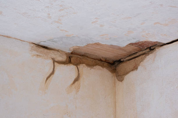 Best Local water damage restoration  in Muniz, TX