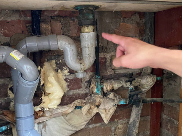 Best 24-hour water damage restoration  in Muniz, TX
