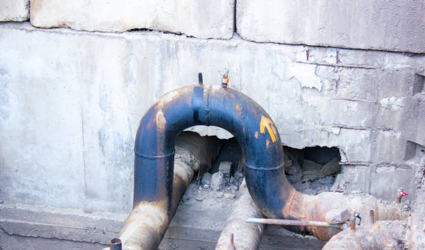 Best Fire Damage Restoration  in Muniz, TX