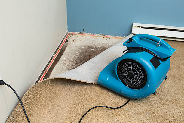 Best Sewage cleanup and water damage restoration  in Muniz, TX